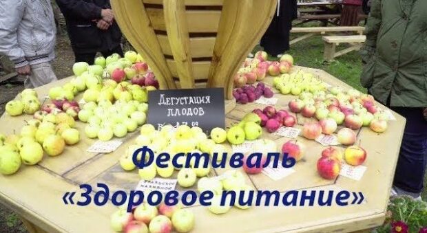 festivalzdorovoepitanie festivalzdorovoepitanie e