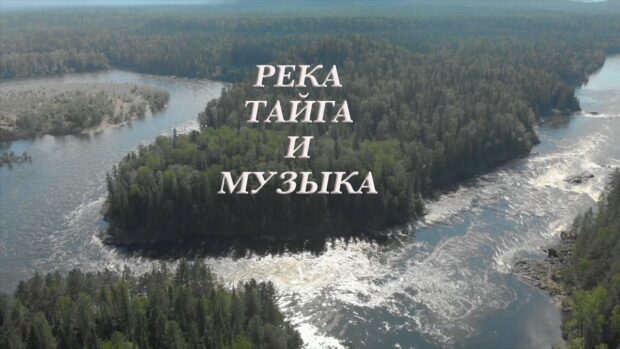 rekatajgaimuzyka