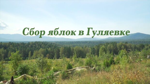 sborjablokvguljaevke