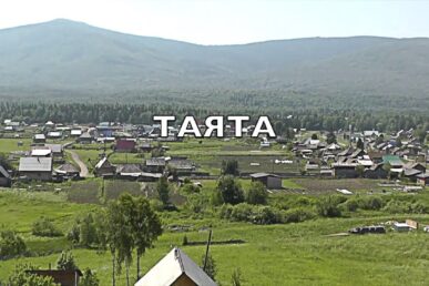 tajata