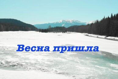 vesnaprishla